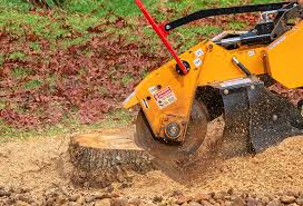 Best Aeration Services  in Pahokee, FL